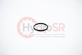 TURCON-GLYD-RING W/O O-RING