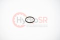 SEAL RING-PISTON, S51_250,TURCON