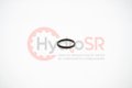 SEAL RING-PISTON, S51_160,TURCON