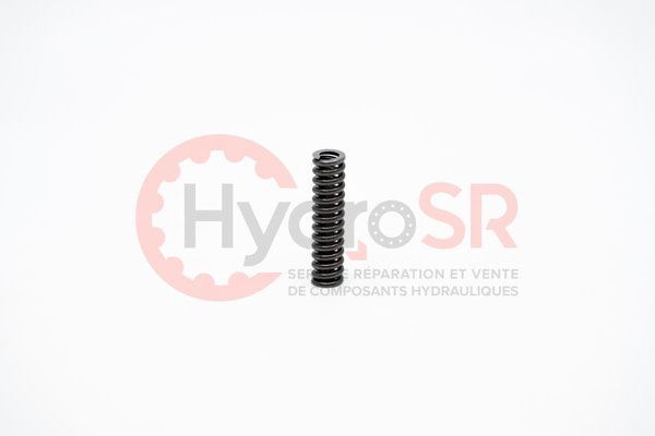 Kawasaki - Pièces - Cylinder spring
