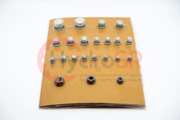 Rexroth - Pièces - SEAL KIT A4VG105EP2X1/32R-NZF&
