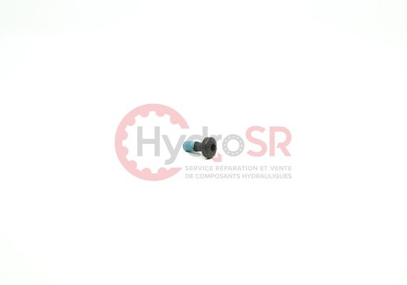 Rexroth - Pièces - PAN-HEAD SCREW ZN10032-M8X20-10.9-MK