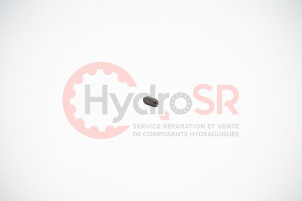 Rexroth - Pièces - PARALLEL KEY 29619.6410