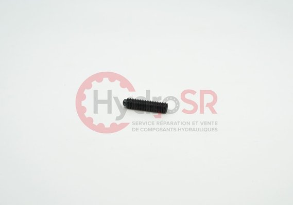 Rexroth - Pièces - SETSCREW M8X33.5 42330.7251