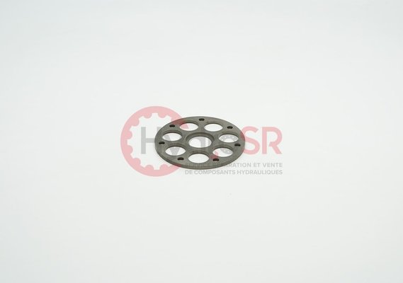Rexroth - Pièces - RETAINING PLATE 20111.0710
