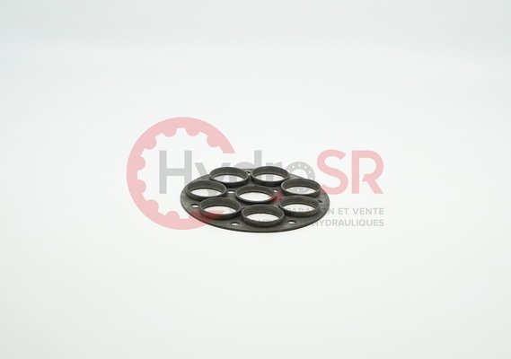 Rexroth - Pièces - RETAINING PLATE 20122.2090
