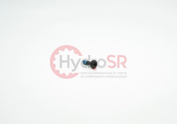 Rexroth - Pièces - PAN-HEAD SCREW ZN10032-M6X20-10.9-MK