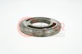 CONTROL PLATE, LH L21 'R' 21723.0000