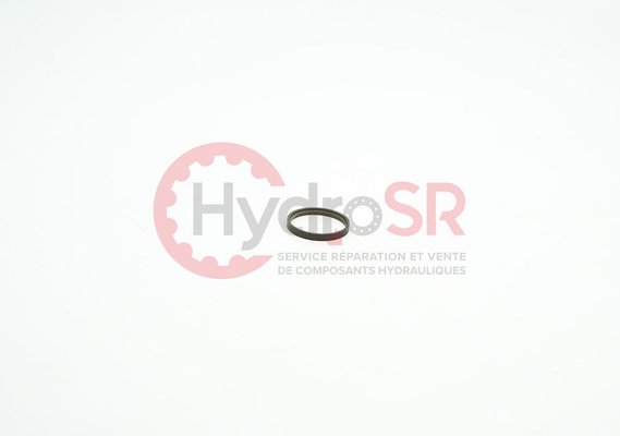 Rexroth - Pièces - ROD SEAL RSK000160-T46