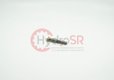 Piston de mesure
