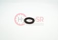 ROTARY SHAFT SEAL PPS 40X62X6-FKM