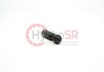 PISTON W.PIST.RINGS A6VM107&
