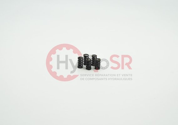 Rexroth - Pièces - COMPRESSION SPRING 4,7 1,10 11,17
