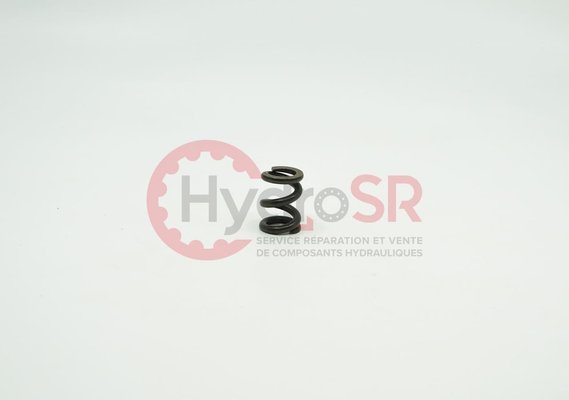 Rexroth - Pièces - COMPRESSION SPRING '2,80/ 11,60/ 20,40'