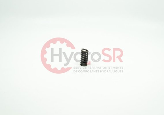 Rexroth - Pièces - COMPRESSION SPRING 'C' '&