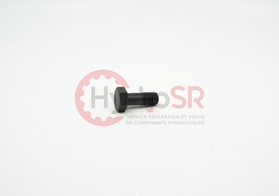 Rexroth - Pièces - HEXAGON SCREW 44222.5200
