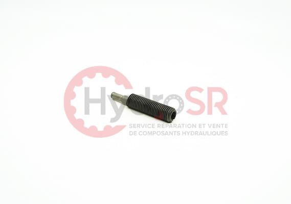 Rexroth - Pièces - ECCENTRIC SCREW 24420.0000