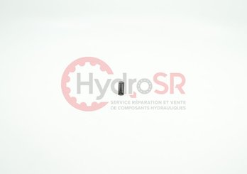 Rexroth - Pièces - COMPRESSION SPRING 'C' &