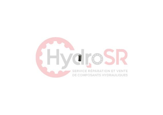Rexroth - Pièces - COMPRESSION SPRING 5,3 1,20 12,67
