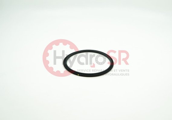 Rexroth - Pièces - ROD SEAL 84/94,7X4,2-RG450084&