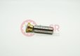 PISTON PAD 21626.2100