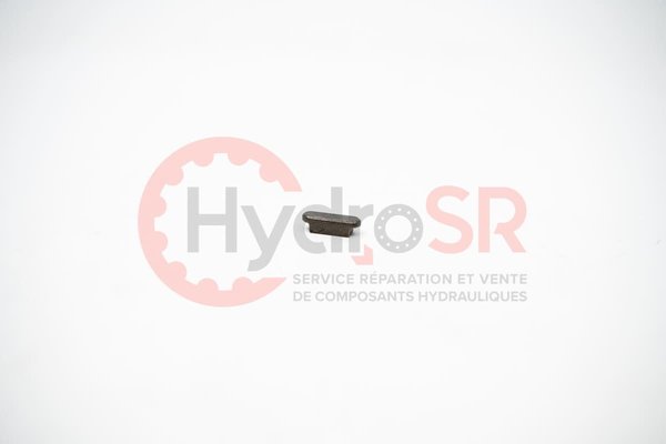 Rexroth - Pièces - PARALLEL KEY 29615.2000