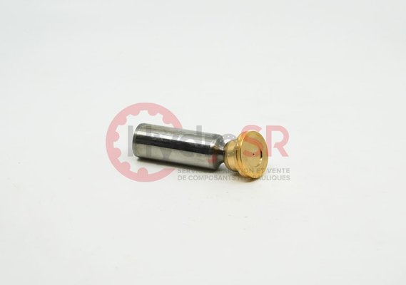 Rexroth - Pièces - PISTON PAD A10 60