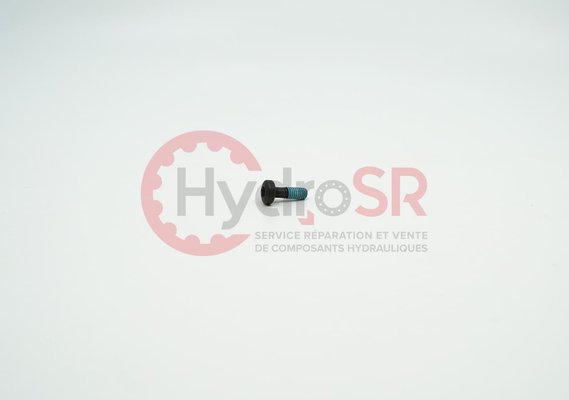 Rexroth - Pièces - PAN-HEAD SCREW ZN10032-M4X12-10.9-MK