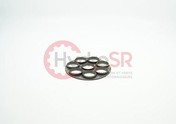 Rexroth - Pièces - RETAINING PLATE 20120.2090