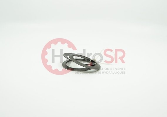 Rexroth - Pièces - CUP-SPRING STACK 21725.1101
