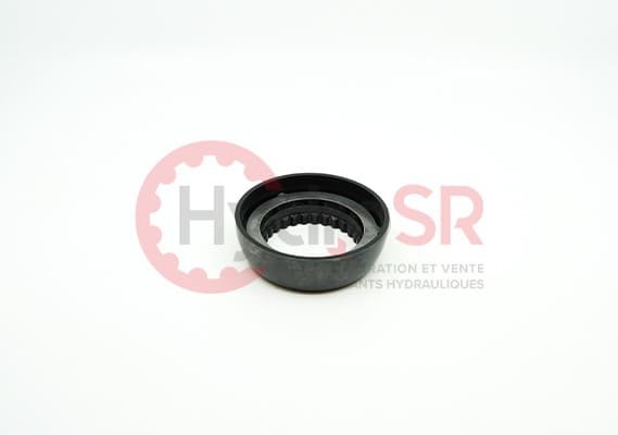 Rexroth - Pièces - RETAINING BALL A4 250/A11 260