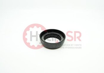 Rexroth - Pièces - RETAINING BALL A4 250/A11 260