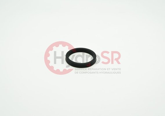 Rexroth - Pièces - ROD SEAL S55613-0340-109S