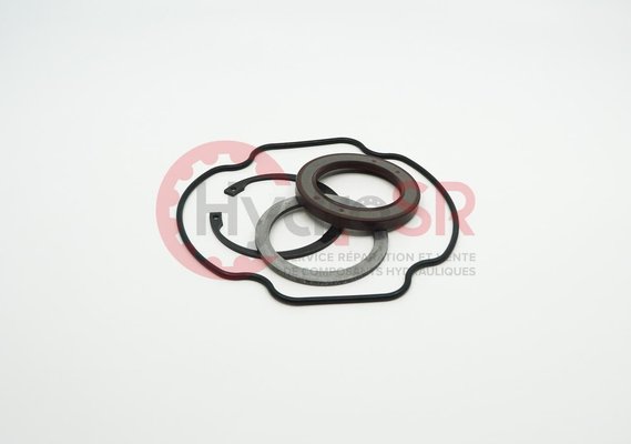 Rexroth - Pièces - SEAL KIT TRIEBWERK 74020.1001