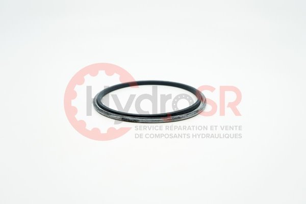 Rexroth - Pièces - ROD SEAL 80/90,7X4,2-RG450080&