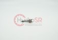 MEASURING PISTON 42232.2053