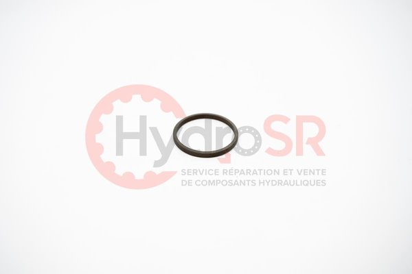 Danfoss - Pièces - SEAL RING-PISTON, S51_250,TURCON