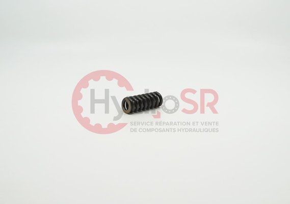 Rexroth - Pièces - COMPRESSION SPRING '3,50/ 13,00/ 42,00'