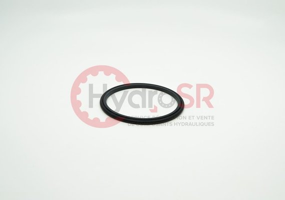 Rexroth - Pièces - ROD SEAL 71/81,7X4,1-RG450071&