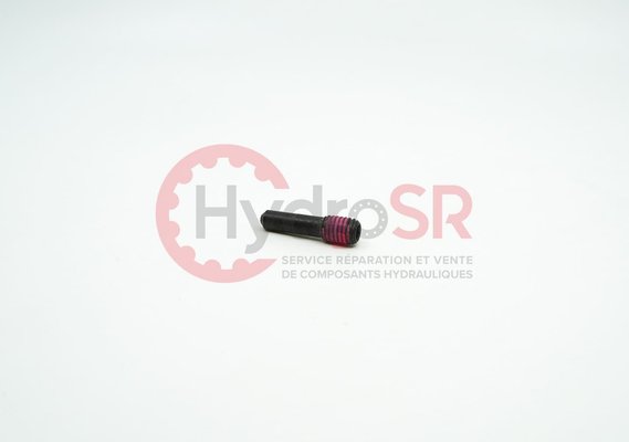Rexroth - Pièces - SETSCREW 44020.5211