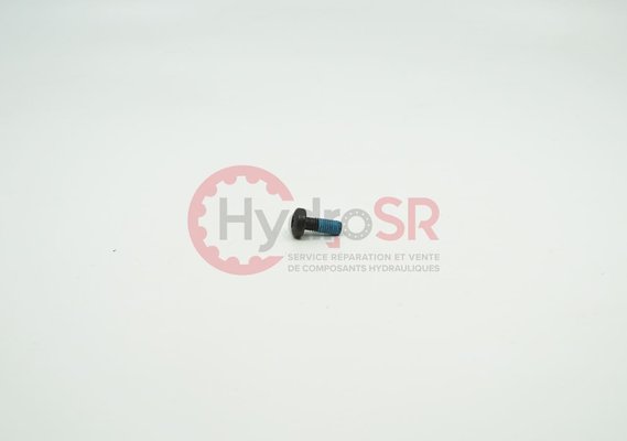 Rexroth - Pièces - PAN-HEAD SCREW ZN10032-M5X13-10.9-MK