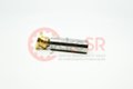PISTON PAD 21525.2001