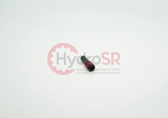 Rexroth - Pièces - SETSCREW 44028.5211