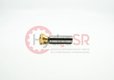 PISTON PAD 21523.2112