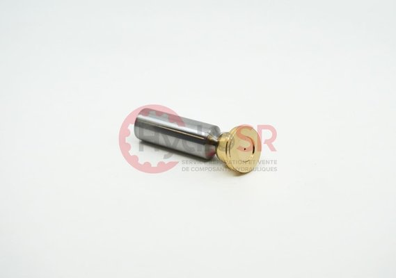 Rexroth - Pièces - PISTON PAD A10 45