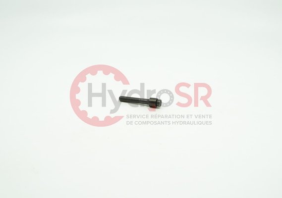 Rexroth - Pièces - SEALING PLUG LK 950-070