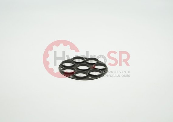 Rexroth - Pièces - RETAINING PLATE 20116.2090