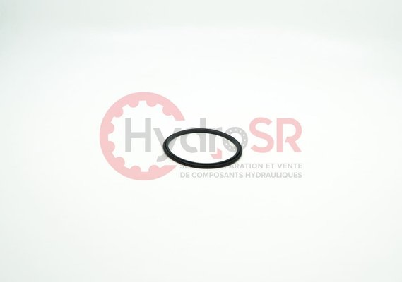 Rexroth - Pièces - ROD SEAL 57/64,5X3,1-RGYD0216&