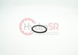 ROD SEAL 57/64,5X3,1-RGYD0216&